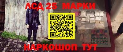 крисы Кандалакша