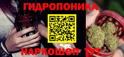 крисы Кандалакша