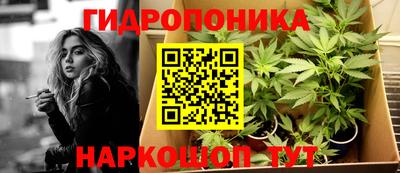 крисы Кандалакша