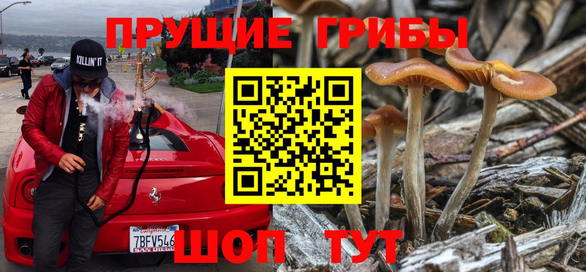 Златоуст  Галлюциногенные грибы ЛСД  Вход с VPN 